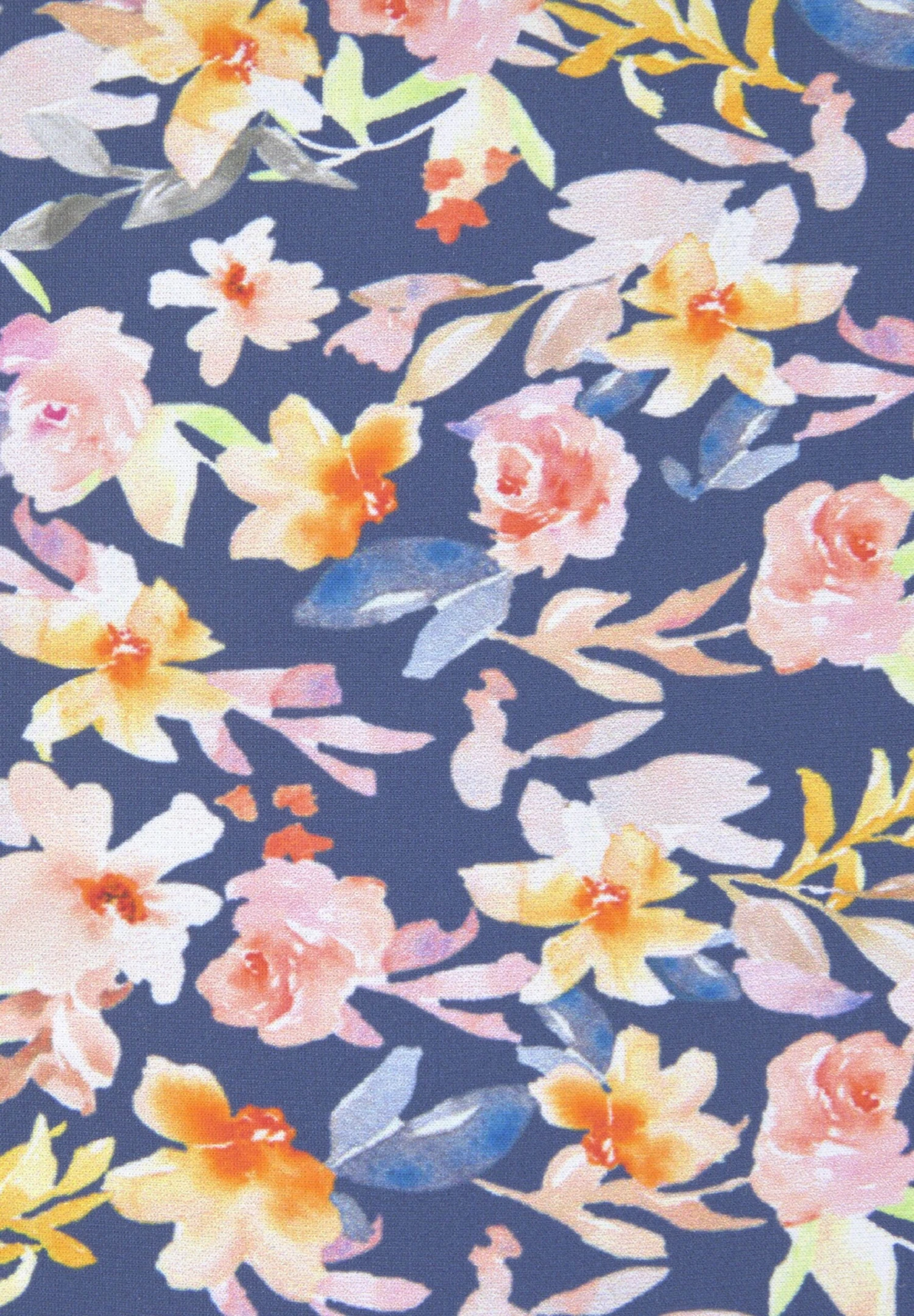 Buffalo Set - Bikini - Blau Bedruckt 7 Buffalo Set - Bikini - Blau Bedruckt - Afbeelding 5