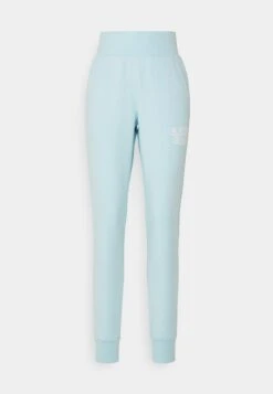 BJØRN BORG Essential Pants - Trainingsbroek - Crystal Blue 13 BJØRN BORG Essential Pants - Trainingsbroek - Crystal Blue -Mode Dames Winkel a42c6458b4334fbd9a98a9185a5f2265